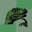 RAPTOR图标
